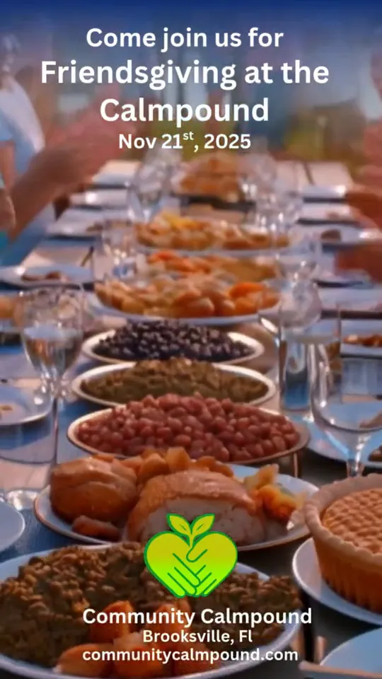Frame from the Community Calmpound Friendsgiving short form video
